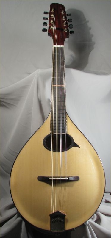 laughlin mandolin